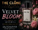 VELVET BLOOM